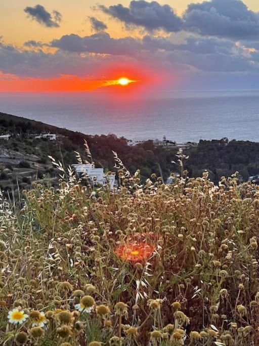 הוילה Patmos Horizon מראה חיצוני תמונה