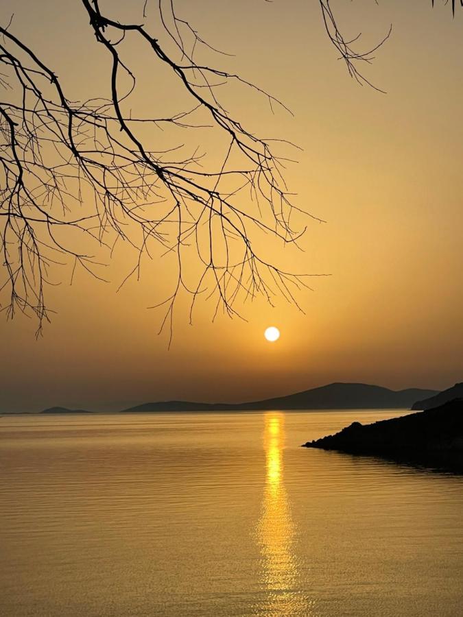 הוילה Patmos Horizon מראה חיצוני תמונה
